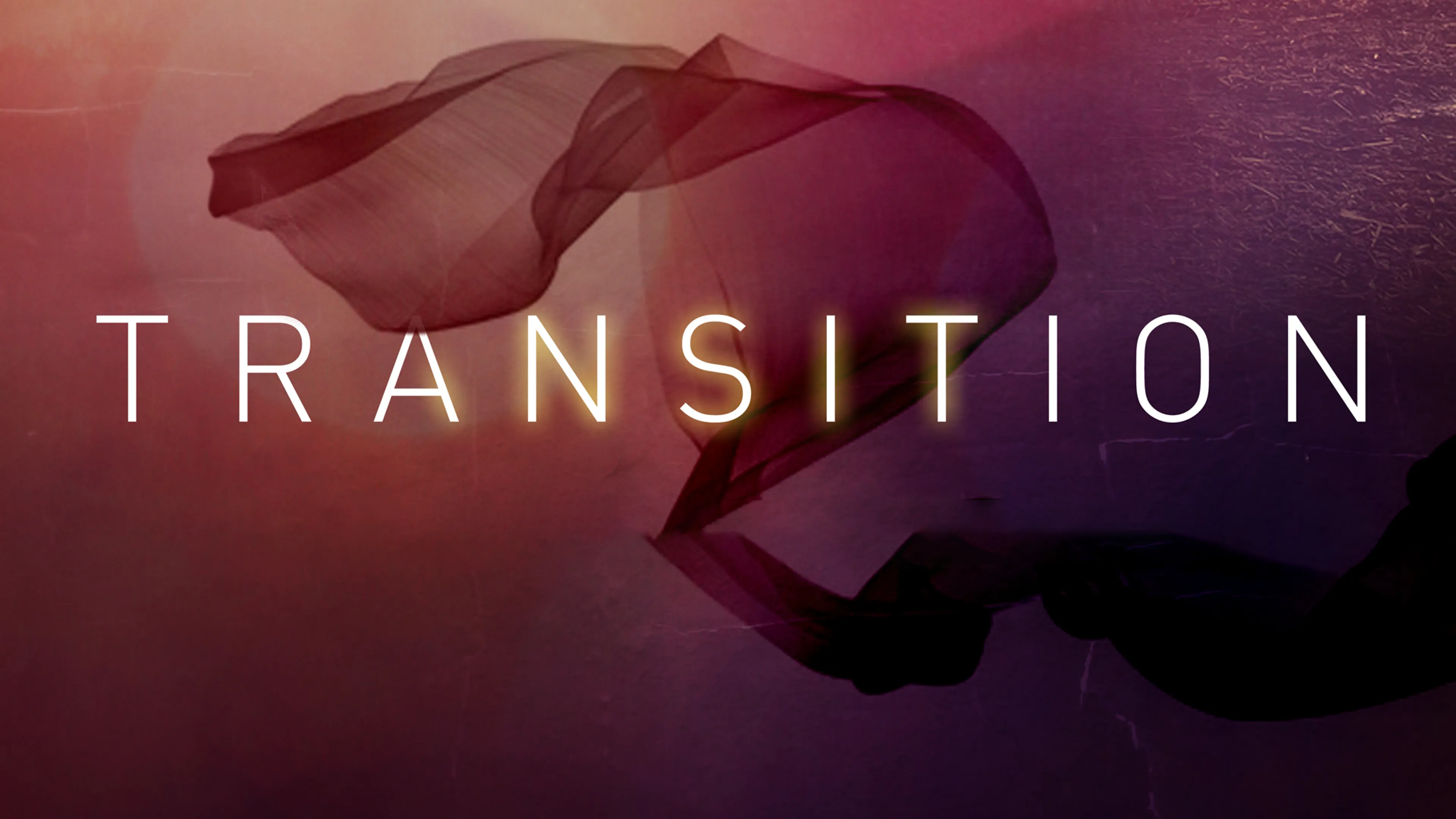 Transition poster